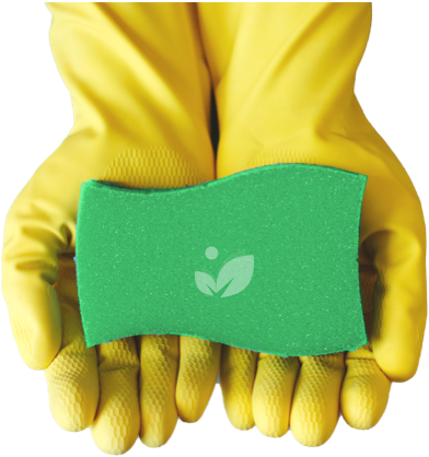 Regular House Cleaning